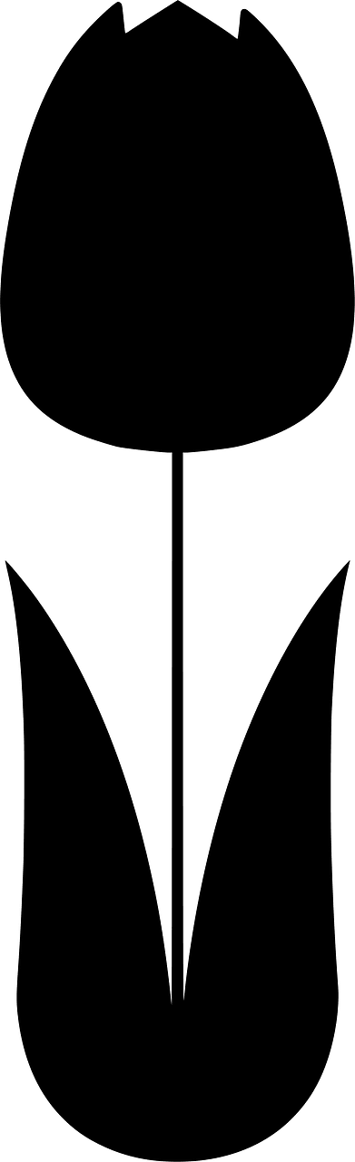 Tulip