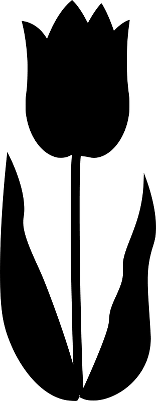 Tulip