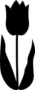 Tulip