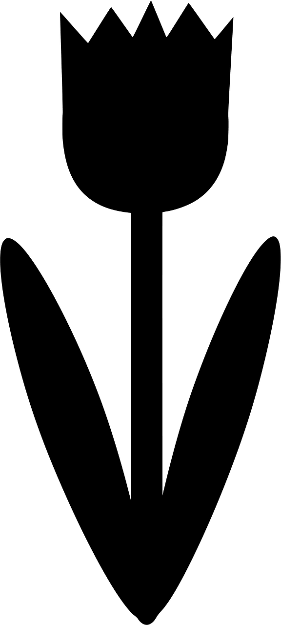Tulip