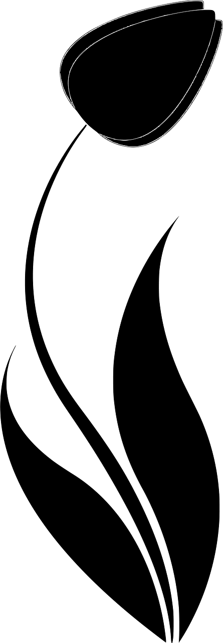 Tulip