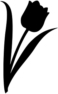 Tulip