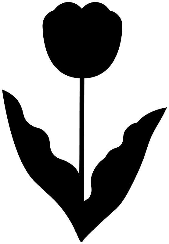 Tulip