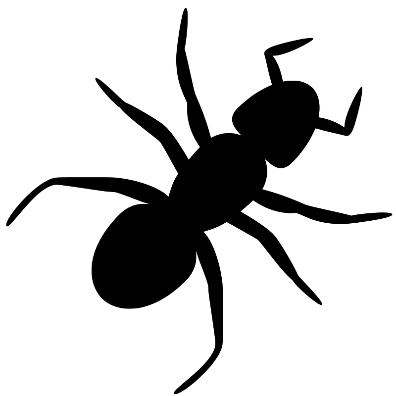 Ant