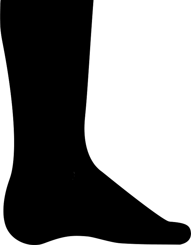 Leg