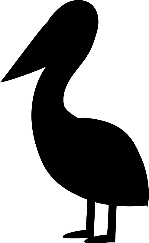 Pelican