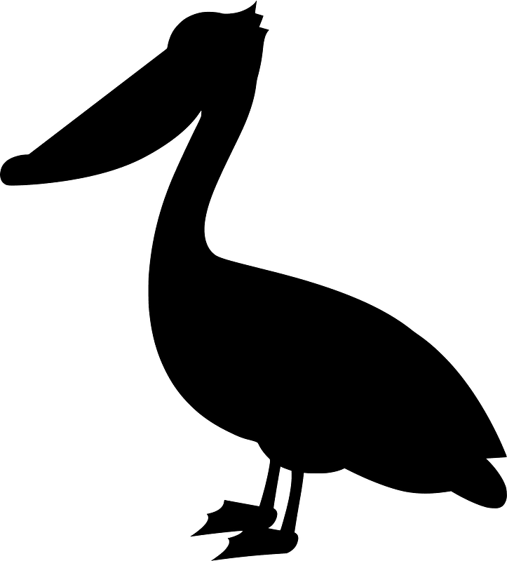 Pelican