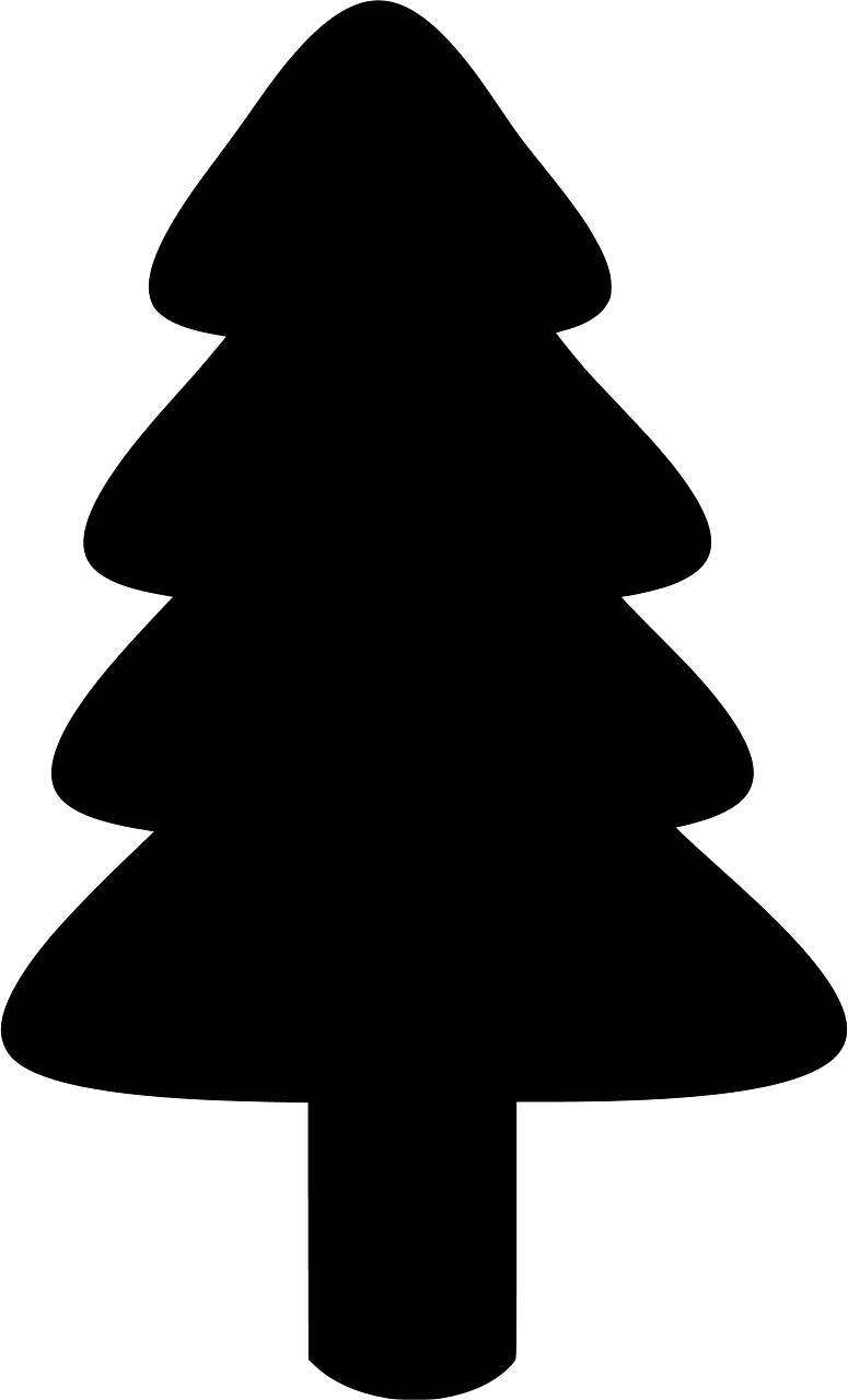 Fir