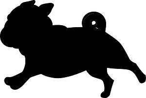 개