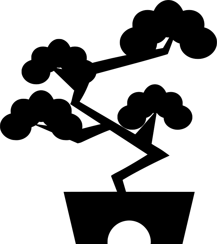 Pine