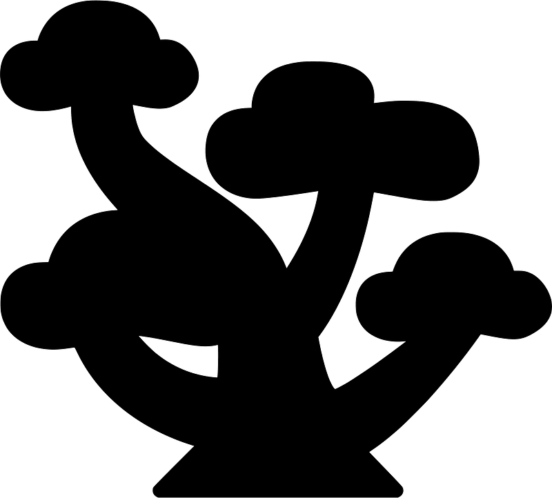 Pine