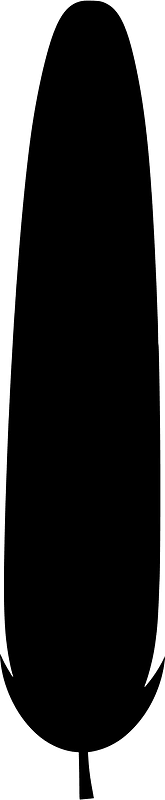 Pine cluster