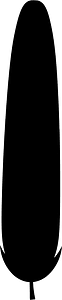 Pine cluster