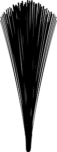 Pine cluster
