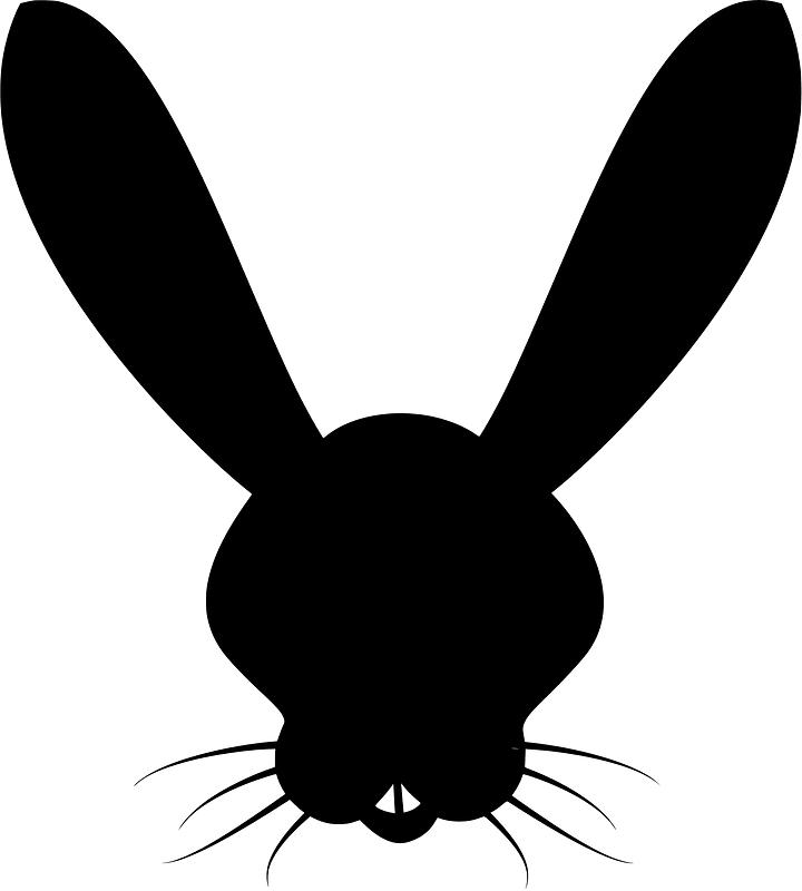 Rabbit head