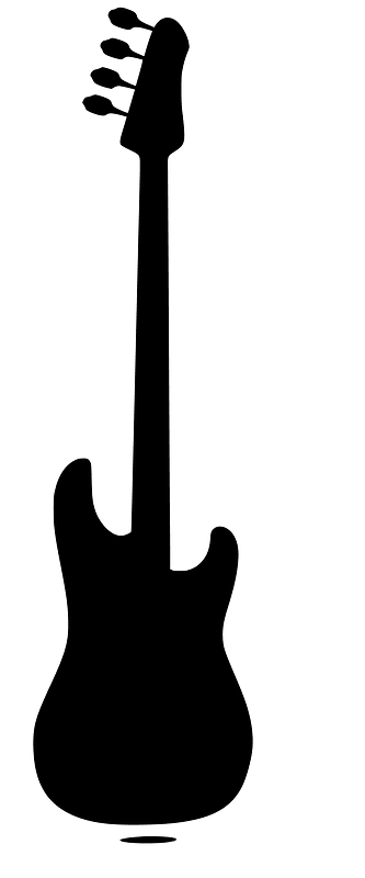 Bass Guitar