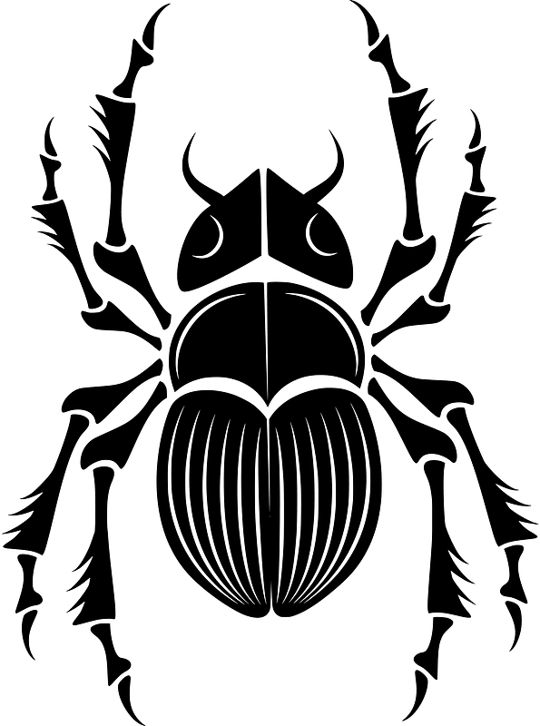 Bug