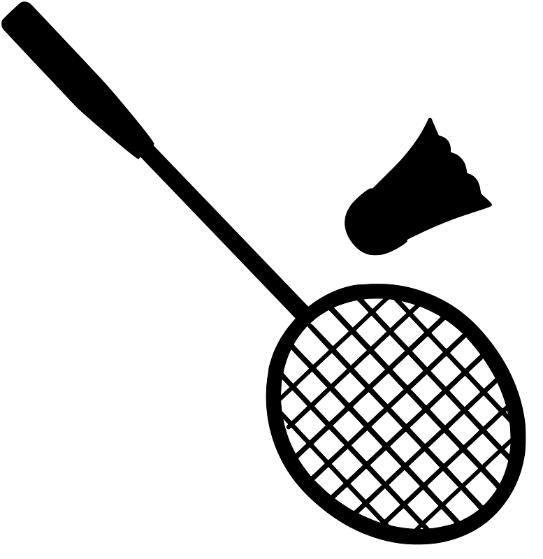 Badminton sports