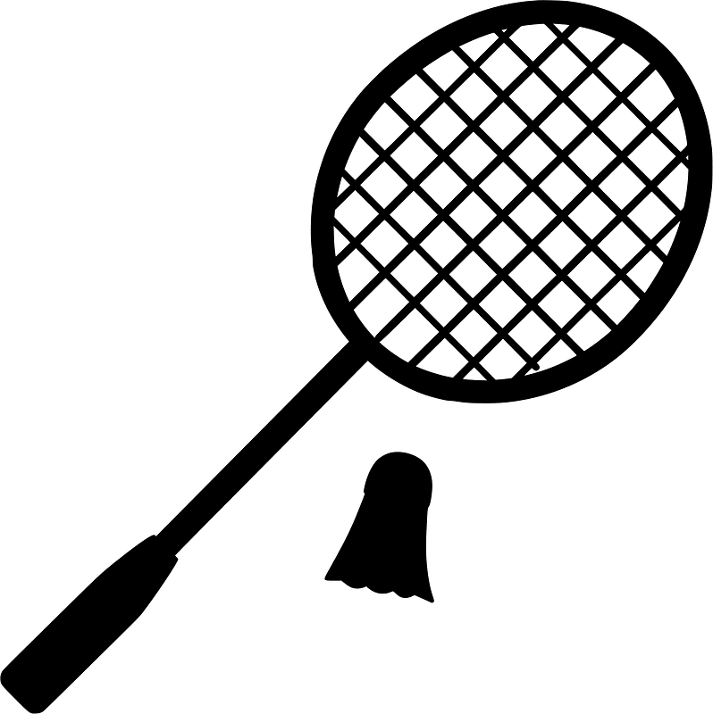 Badminton sports