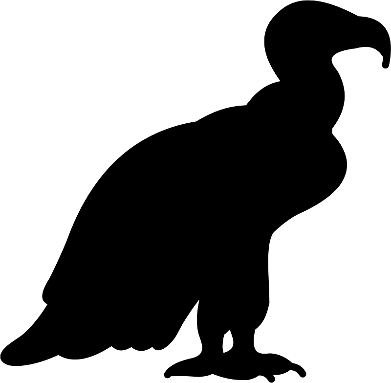 독수리