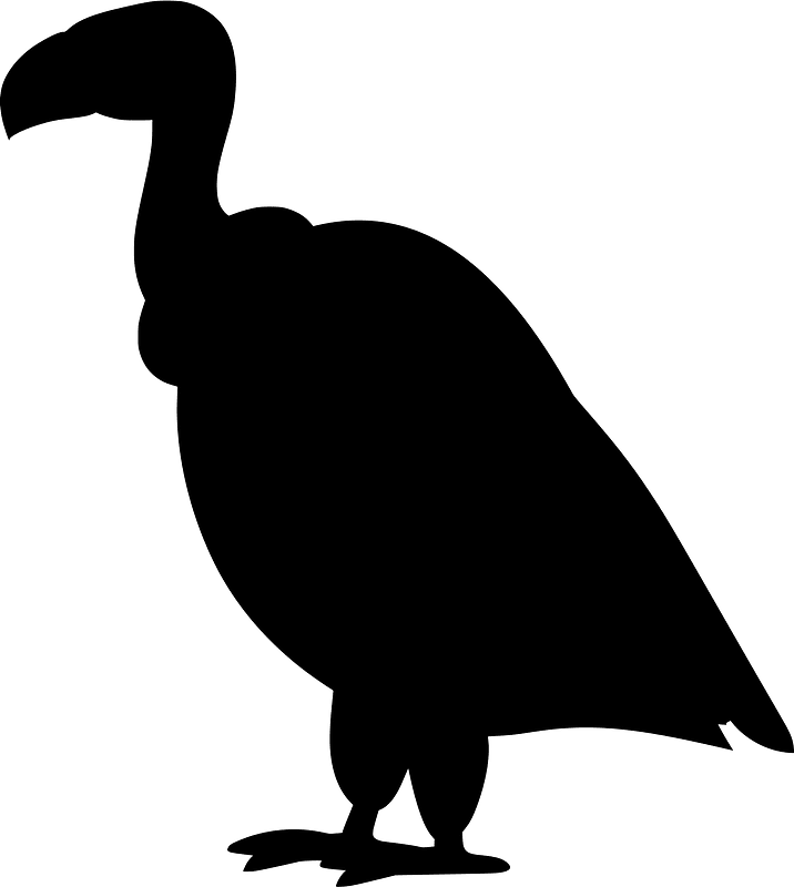 秃鹫