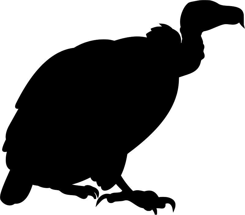 Vulture