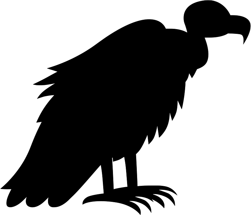 Vulture