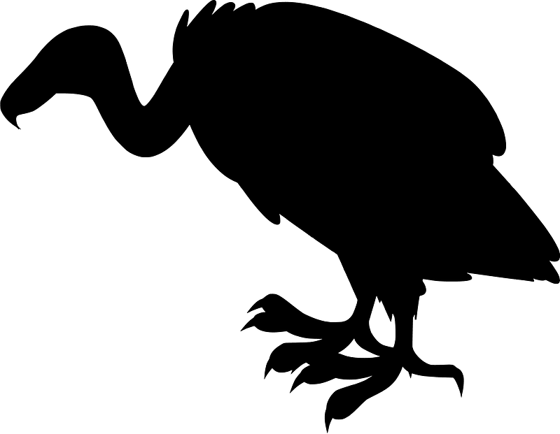 Vulture