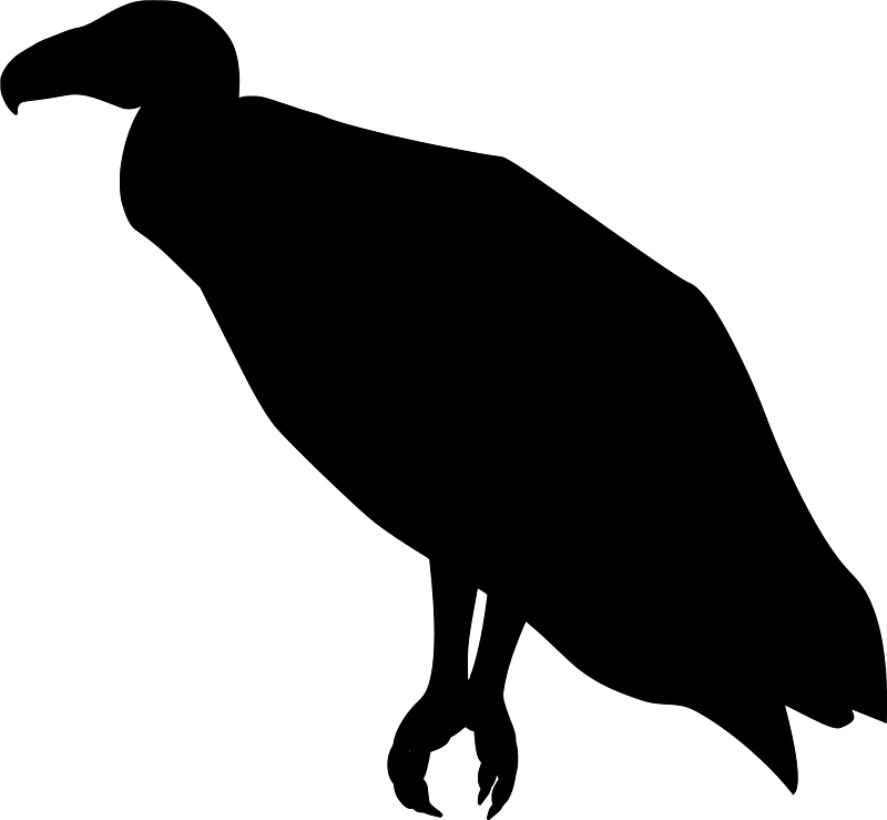 Vulture