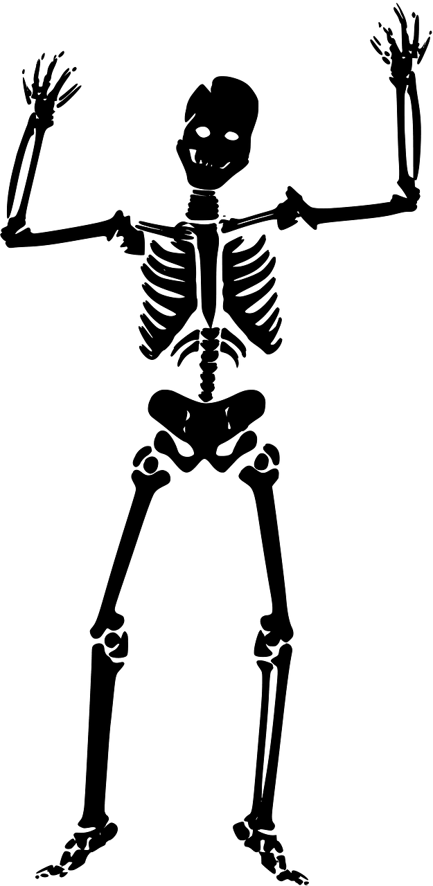 Skeleton