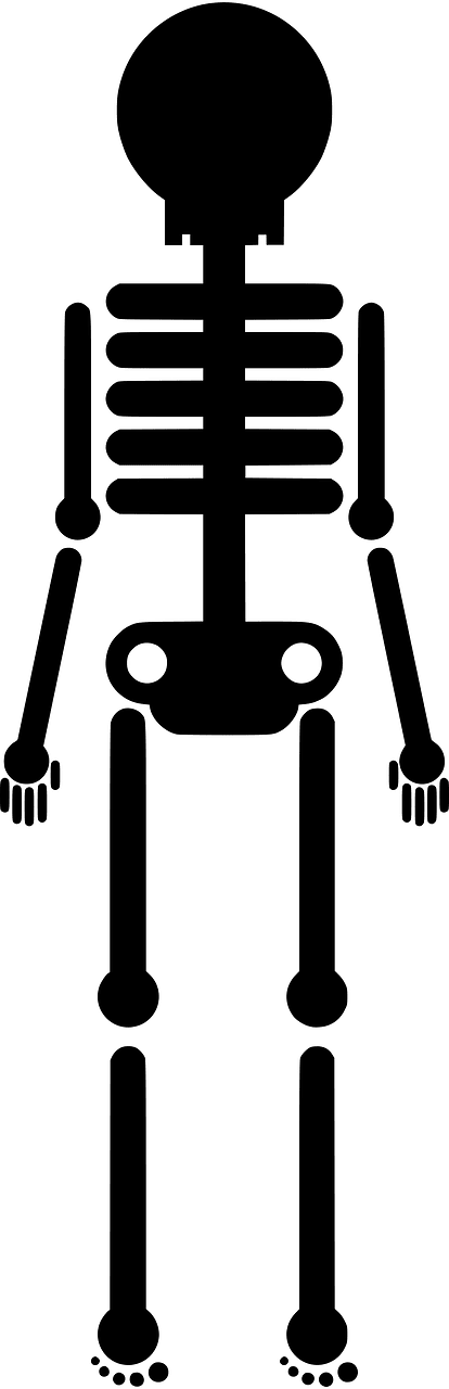Skeleton