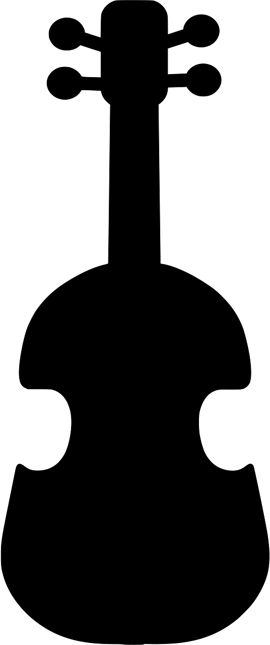 Violin