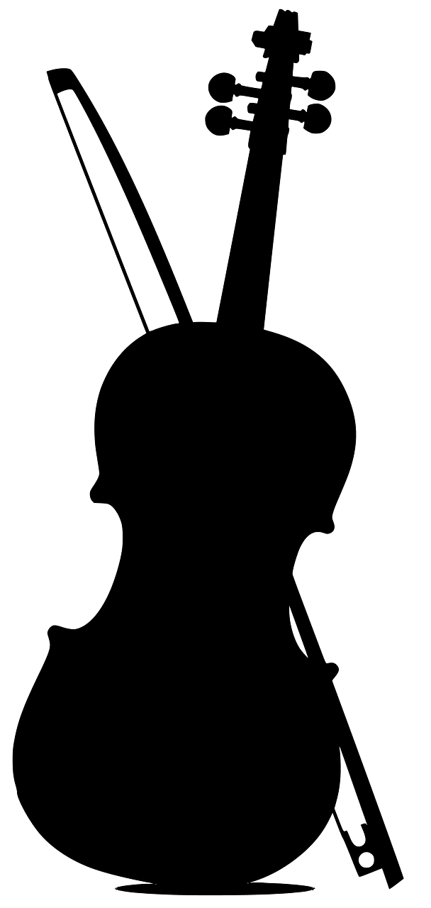 Violin