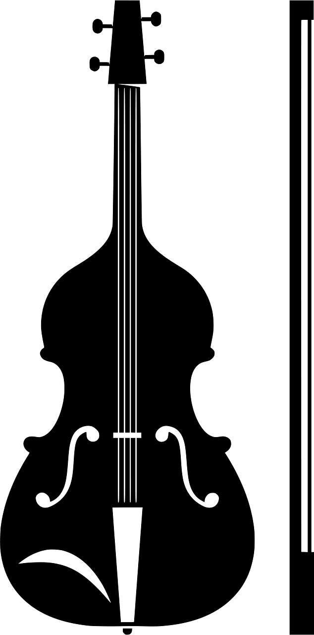 Violin