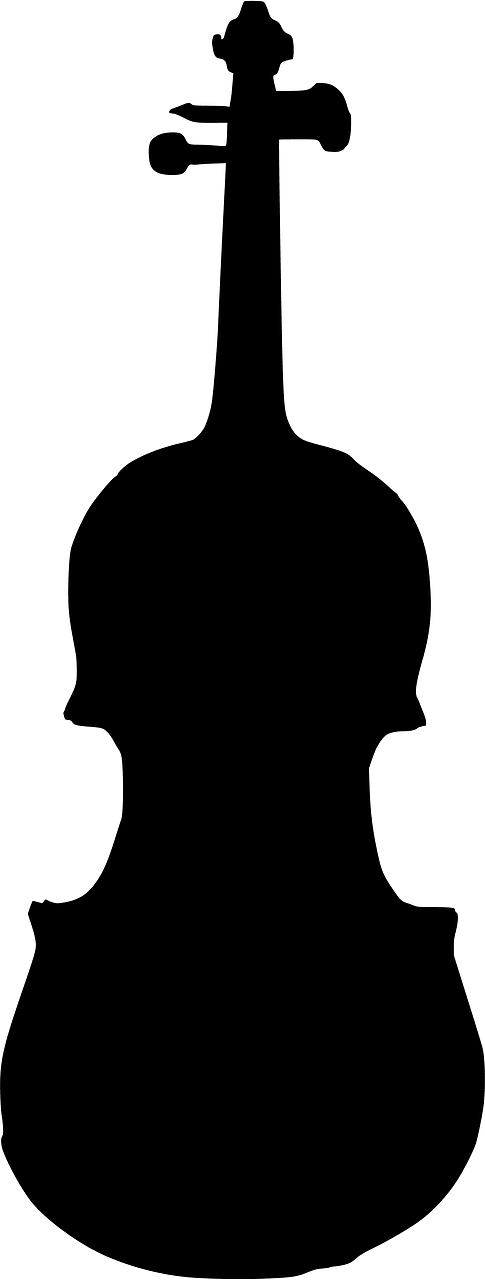 Violin