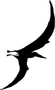 pterodactyl
