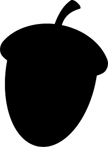 Acorn