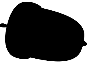 Acorn