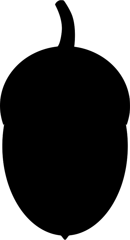 Acorn