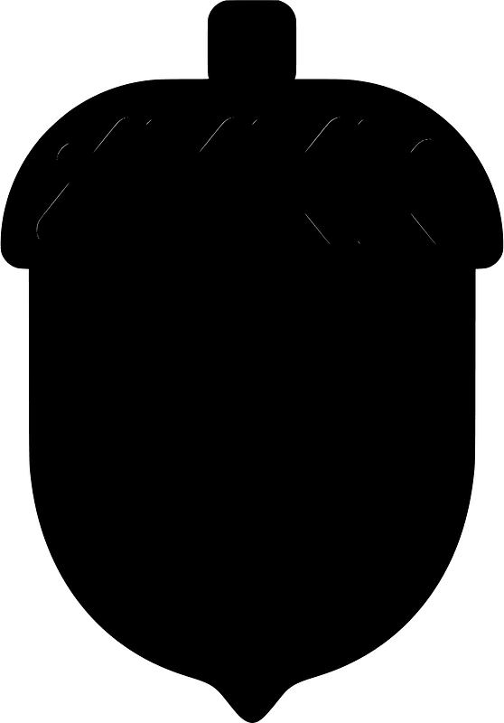 Acorn