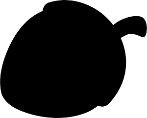 Acorn
