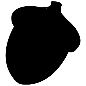 Acorn