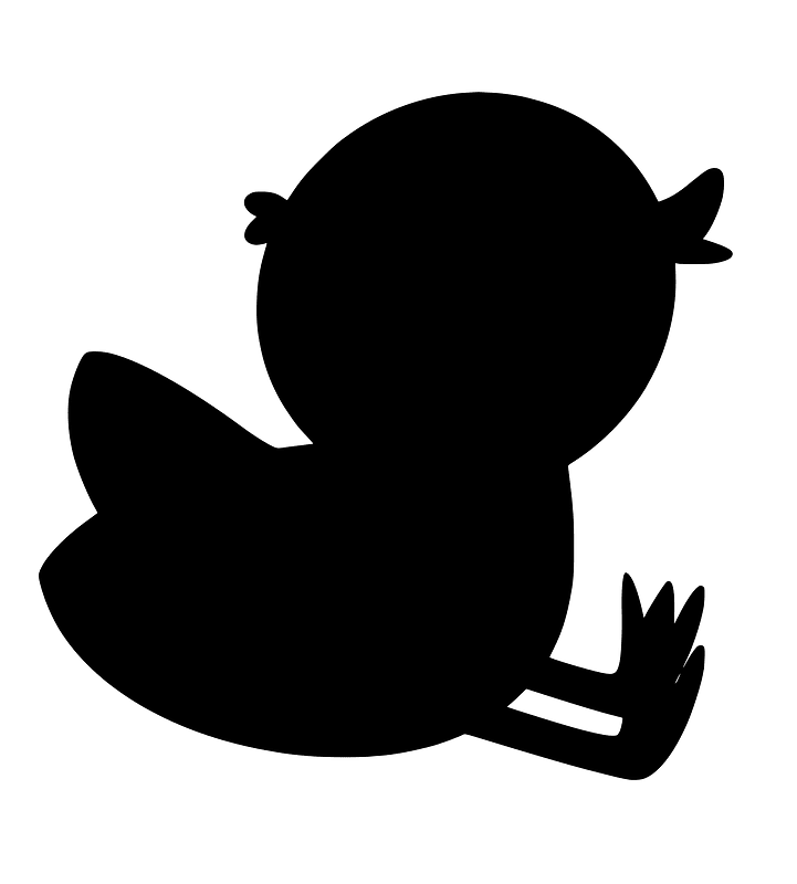 Chick