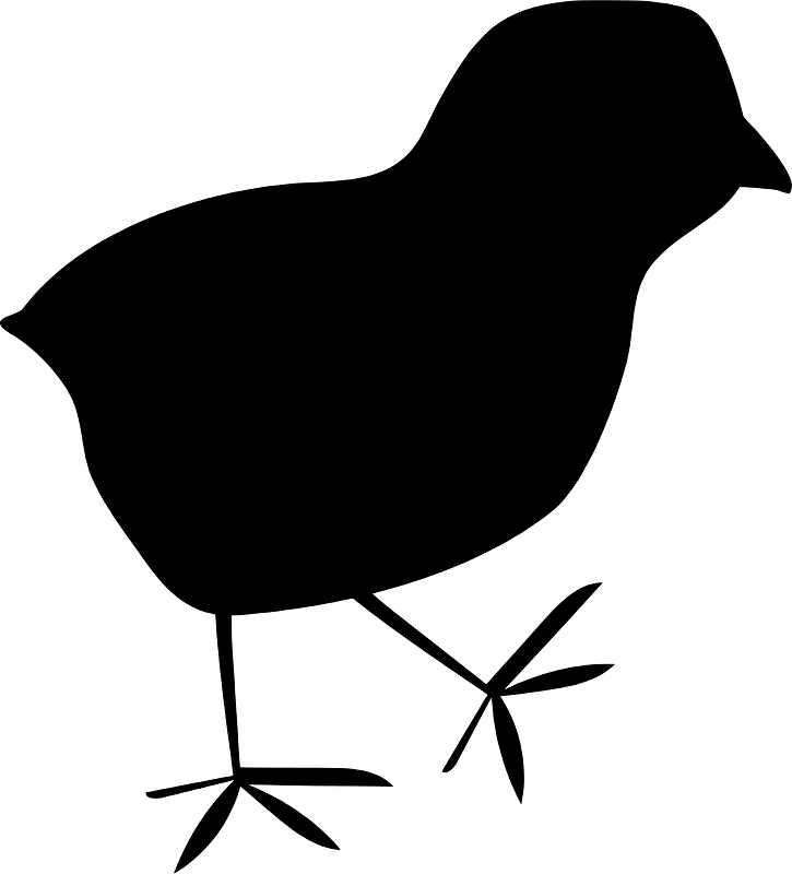 Chick