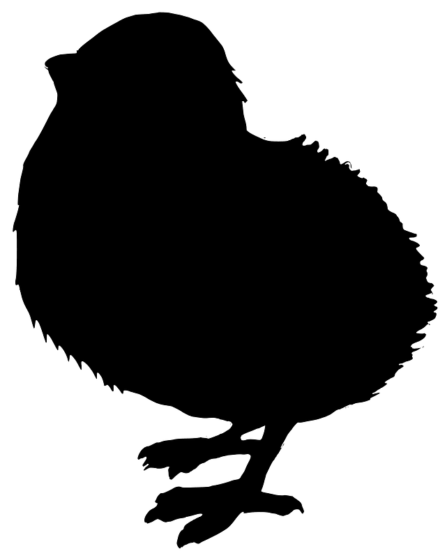 Chick