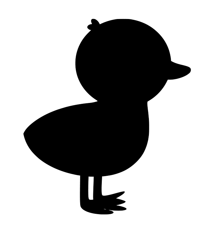 Chick