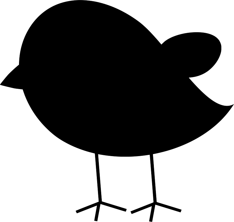Chick