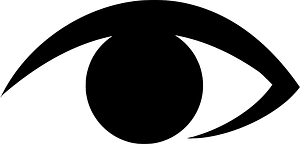 Eye