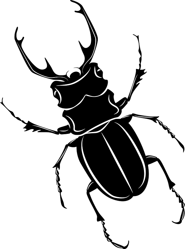 Stagbeetle