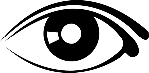 Eye